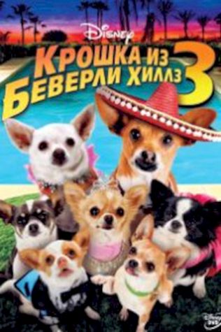Крошка из Беверли-Хиллз 3 смотреть онлайн бесплатно в хорошем качестве - трейлер