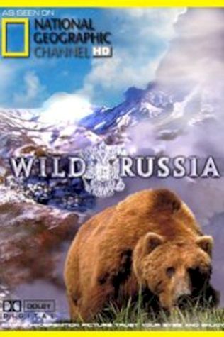 Дикая природа России: Сибирь (2009) смотреть онлайн бесплатно в хорошем качестве