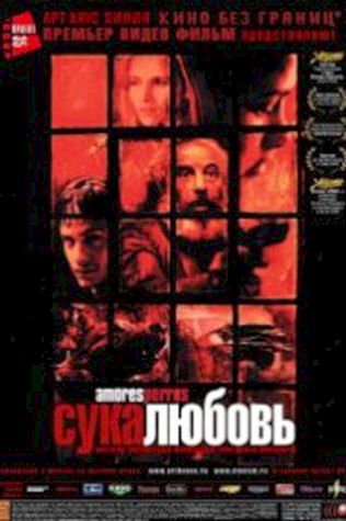 Сука-любовь (2000) смотреть онлайн бесплатно в хорошем качестве