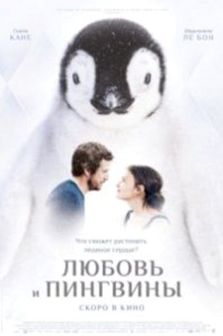 Любовь и пингвины (2016) смотреть онлайн бесплатно в хорошем качестве