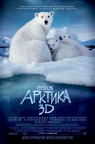 Арктика (2012) смотреть онлайн бесплатно в хорошем качестве