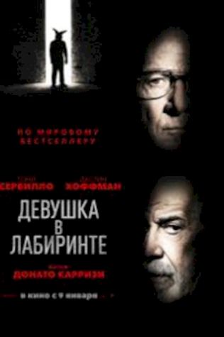 Девушка в лабиринте (2019) смотреть онлайн бесплатно в хорошем качестве