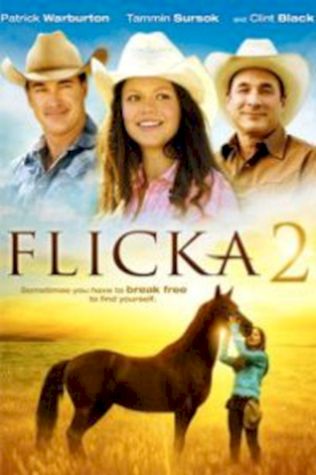 Флика 2 (2010) смотреть онлайн бесплатно в хорошем качестве