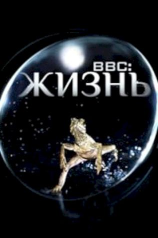 BBC: Жизнь