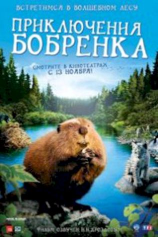 Приключения бобрёнка (2008) смотреть онлайн бесплатно в хорошем качестве