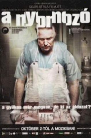 Следователь (2008) смотреть онлайн бесплатно в хорошем качестве