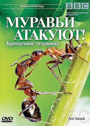 BBC: Муравьи атакуют / Ant Attack (2006)