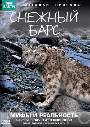 BBC:  :    / Natural World: Snow Leopard - Beyond the Myth 