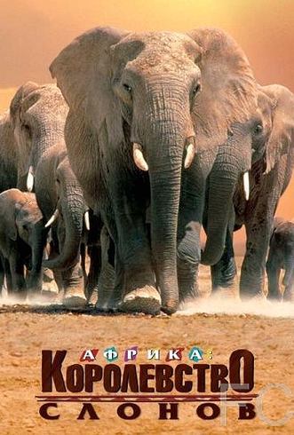 Африка – королевство слонов / Africa's Elephant Kingdom 