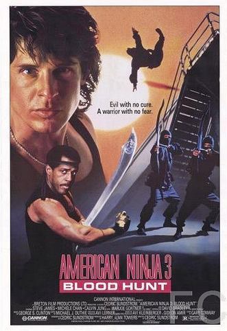   3:   / American Ninja 3: Blood Hunt 