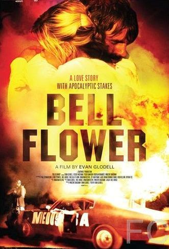 ,  / Bellflower 