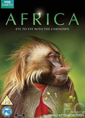 Африка / Africa (2013)