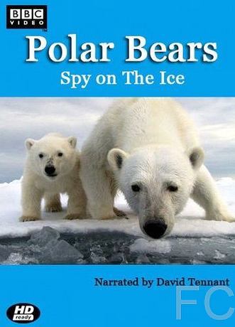 Смотреть онлайн Белый медведь: Шпион во льдах / Polar Bears: Spy on the Ice (2011)