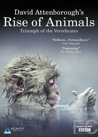  :   / Rise of Animals: Triumph of the Vertebrates 