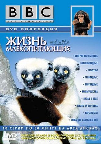 Смотреть онлайн BBC: Жизнь млекопитающих / The Life of Mammals (2002)