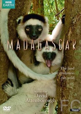 BBC:  / Madagascar 