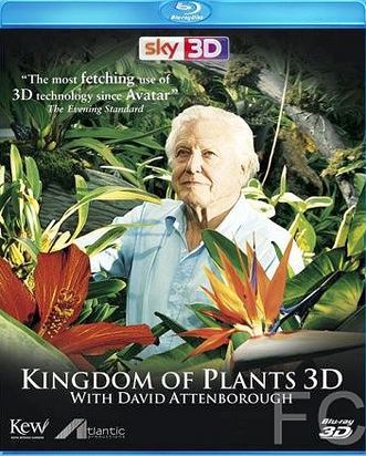    / Kingdom of Plants 3D 
