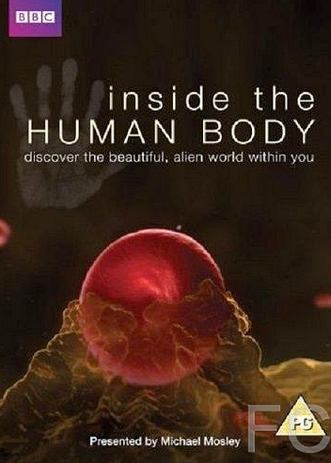 Внутри человеческого тела / Inside the Human Body (2011) смотреть онлайн, скачать - трейлер