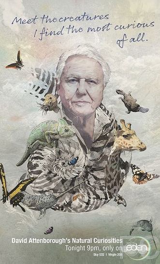  .    / David Attenborough's Natural Curiosities 