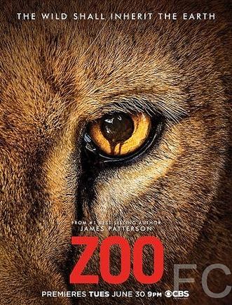 Зверинец / Zoo (2015) смотреть онлайн, скачать - трейлер