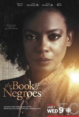   / The Book of Negroes 