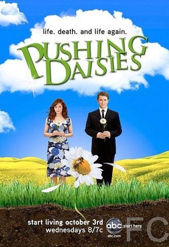    / Pushing Daisies 