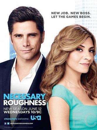   / Necessary Roughness 
