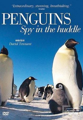 :    / Penguins: Spy in the Huddle 