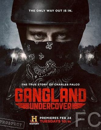   / Gangland Undercover 