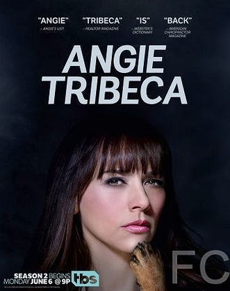 Энджи Трайбека / Angie Tribeca (2016)