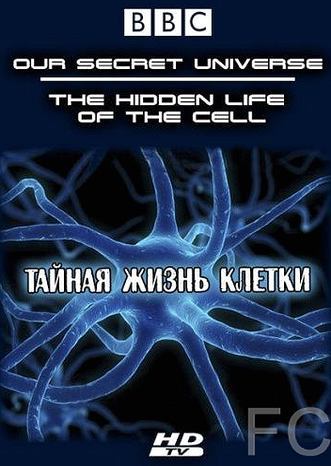  :    / Our Secret Universe: The Hidden Life of the Cell 