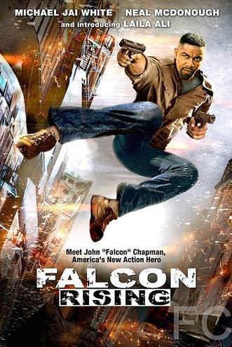 Восхождение Сокола / Falcon Rising 