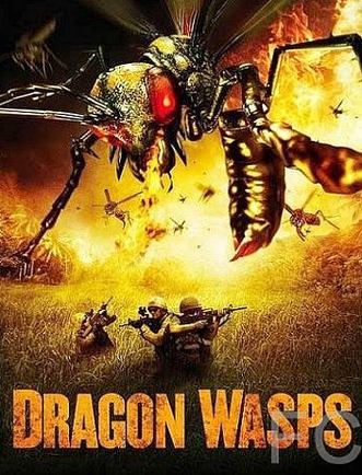   / Dragon Wasps 