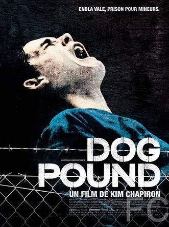 Загон для собак / Dog Pound (2009) смотреть онлайн, скачать - трейлер