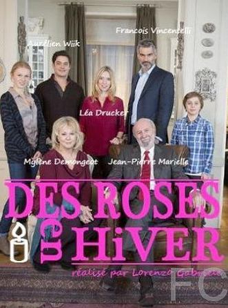 Зимние розы / Des Roses en Hiver 