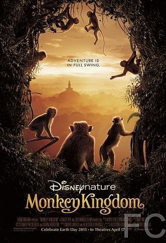 Королевство обезьян / Monkey Kingdom 