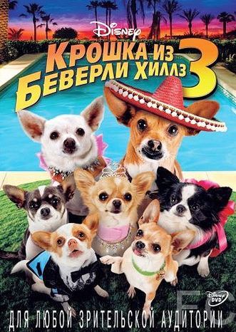 Крошка из Беверли-Хиллз 3 / Beverly Hills Chihuahua 3: Viva La Fiesta! (2012) смотреть онлайн, скачать - трейлер