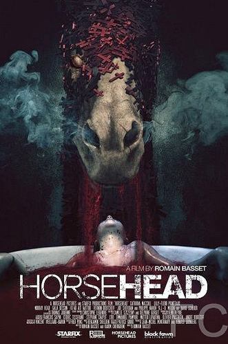  / Horsehead 