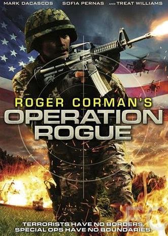   / Operation Rogue 