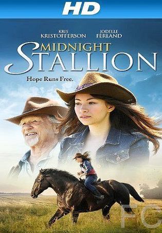 Полночный жеребец / Midnight Stallion (2013)
