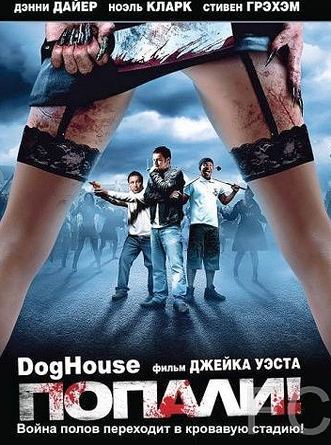 ! / Doghouse 