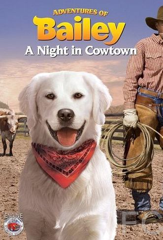  :    / Adventures of Bailey: A Night in Cowtown 