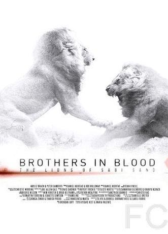 Прирожденные короли / Brothers in Blood: The Lions of Sabi Sand (2015) смотреть онлайн, скачать - трейлер