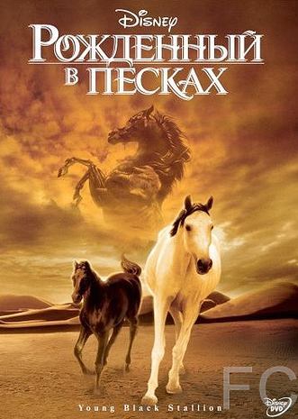 Рожденный в песках / The Young Black Stallion (2003)