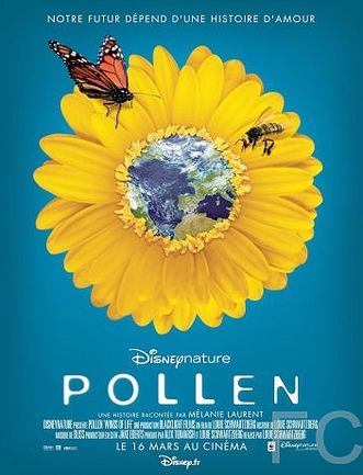Скрытая красота: История любви, которая питает Землю / Pollen (2011) смотреть онлайн, скачать - трейлер