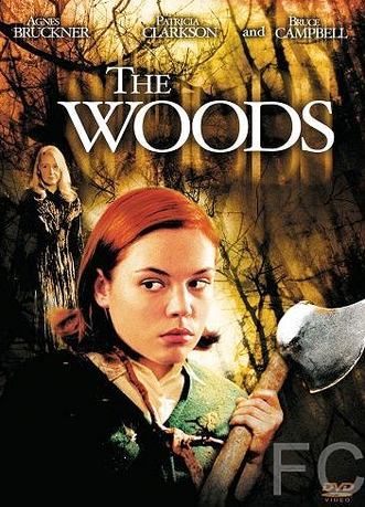   / The Woods 