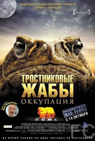 Смотреть Тростниковые жабы: Оккупация / Cane Toads: The Conquest (2010) онлайн на русском - трейлер