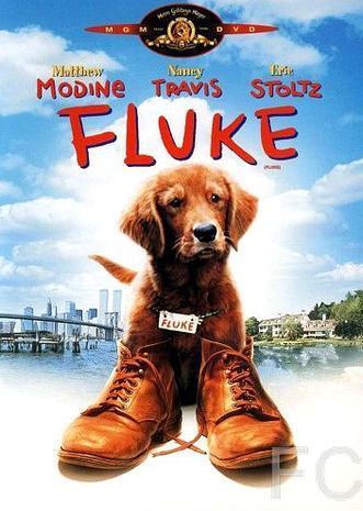 Флюк / Fluke (1995) смотреть онлайн, скачать - трейлер