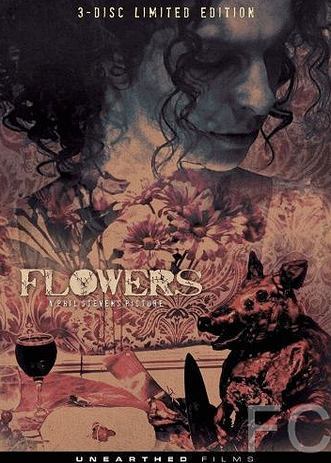  / Flowers 