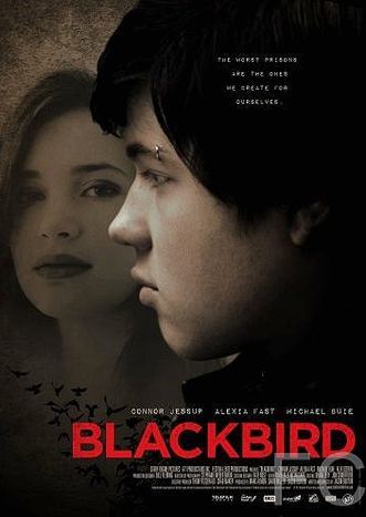 Чёрный дрозд / Blackbird (2012) смотреть онлайн, скачать - трейлер